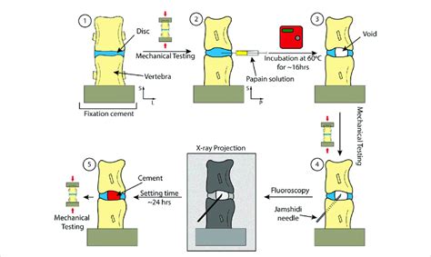 Key Mechanical Checkpoints