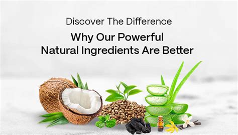 Key Natural Ingredients That Make a Difference