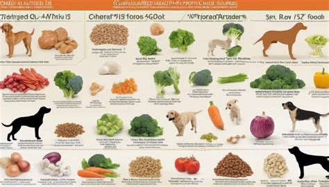 Key Nutrients Dog Food Meat Provides