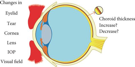 Key Ocular Changes During Pregnancy