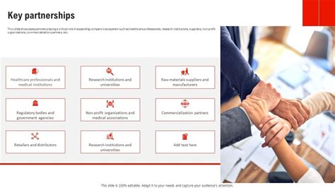 Key Partnerships and Support Cast