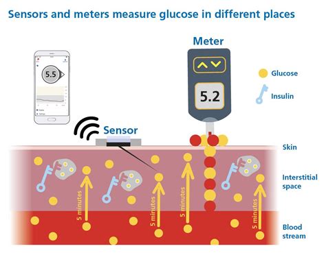 Key Principles of the CGM