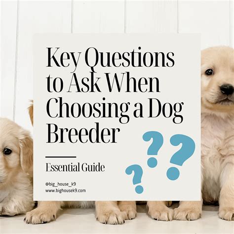 Key Questions for Breeders