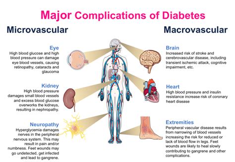 Key Risks Related to Cardiovascular Health Issues With Diabetes