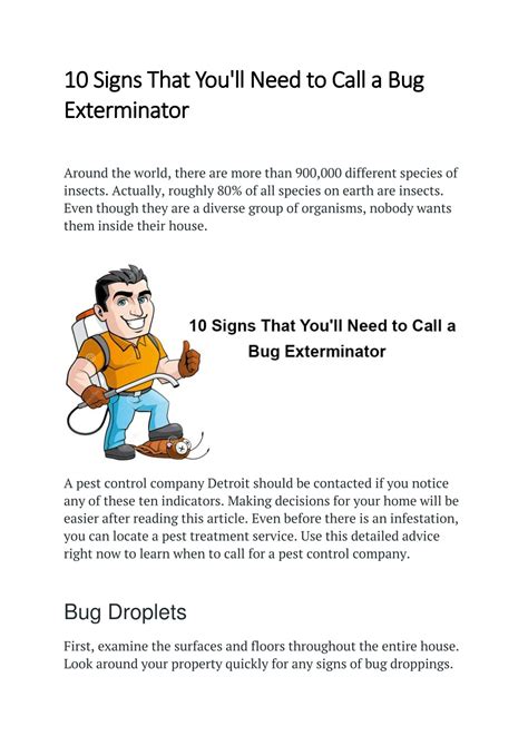Key Signs You Need an Exterminator