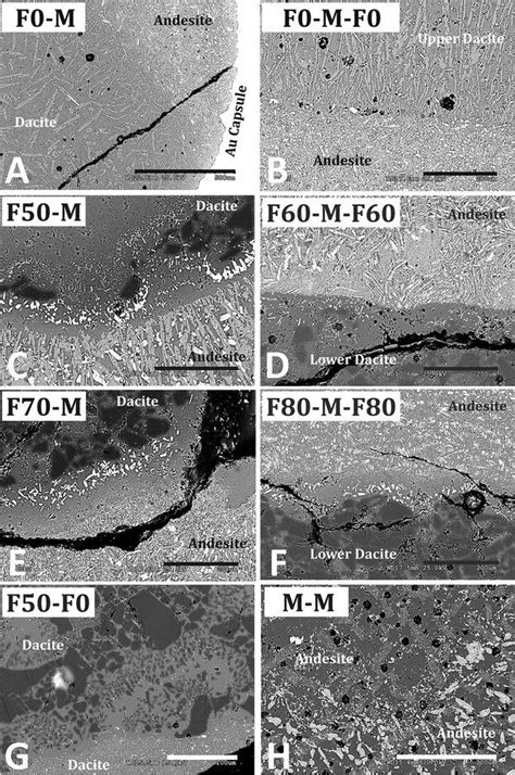 Key Textural Details to Look For