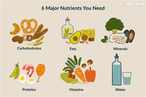 Key Vitamins and Nutrients You Need