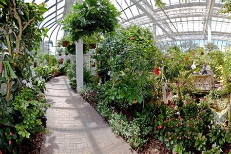 Key West Butterfly Conservatory