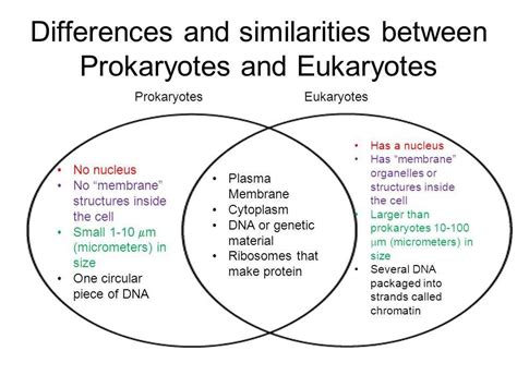 Key differences and similarities
