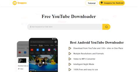 Key have of Snappea Web Downloader