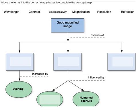 Key principles of MAP Move The Terms Into The Correct Empty Boxes To Complete The Concept Map