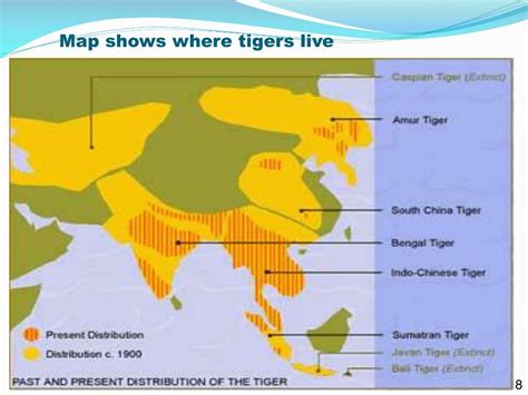 Map of Tigers Habitat