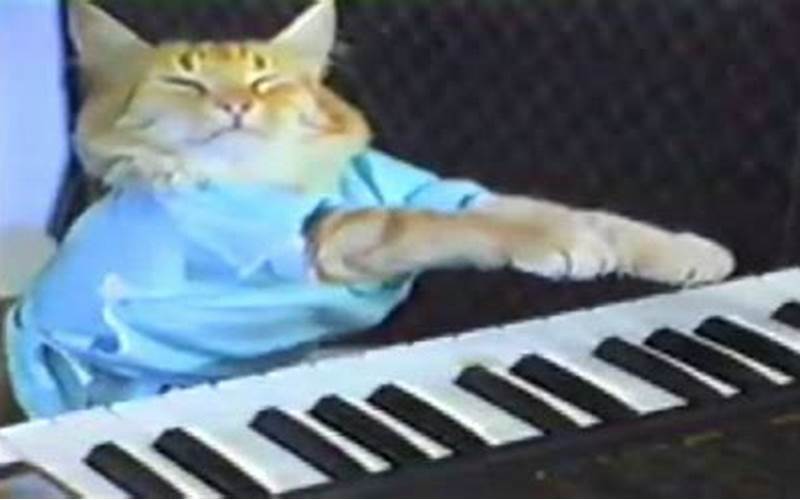 How Much Is Keyboard Cat Worth?