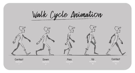 Keyframe Animation Walk Cycle