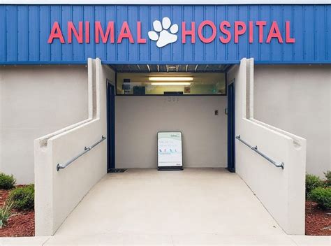 Compassionate & Comprehensive Pet Care at Keystone Heights Animal Hospital - Your Pet's Wellness Matters to Us