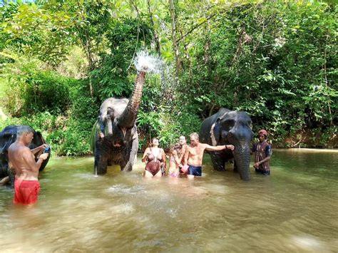 Khaosok Elephant Friendly Program