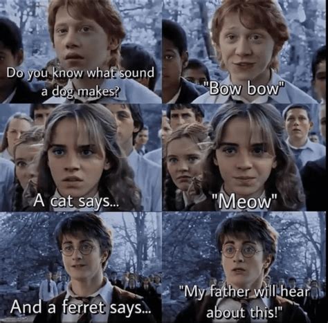 Kid Appropriate Harry Potter Memes