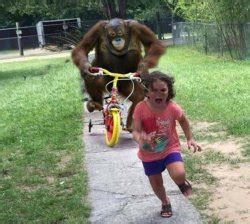 Kid Running Away Meme Template
