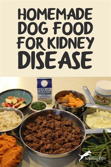 Kidney Diet For Dogs Homemade