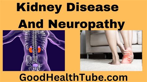 Kidney Dysfunction: A Double Whammy