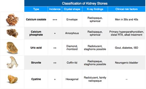 Kidney Stones Size Chart