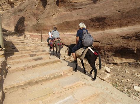 Kigali Donkey Rides: A Wonderful Family Adventure You Won’t Forget
