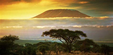 Kilimanjaro sunset