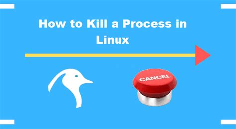 th?q=Kill%20Process%20By%20Name%3F - Python Tips for Killing Processes by Name: Streamline Your Task Management Efforts with These Efficient Techniques