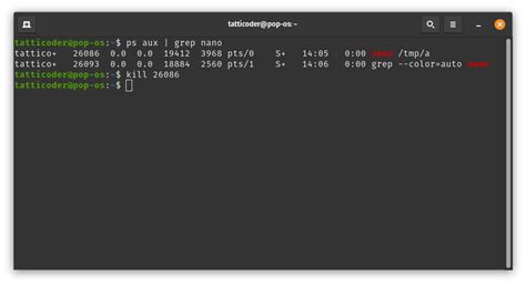 Kill Process via Command Line in Linux