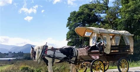 Killarney Private Tour