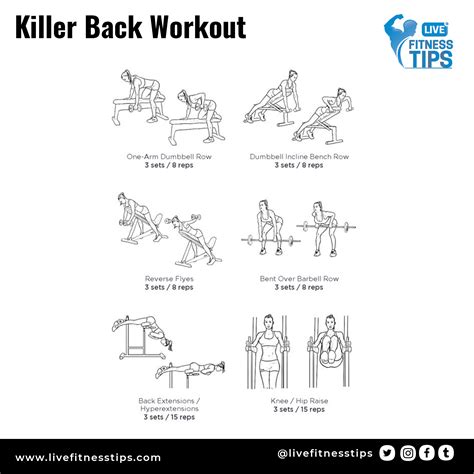 Killer Back Workout