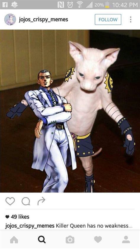 Killer Queen Cat Meme