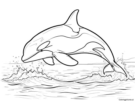 Killer Whale Coloring Page