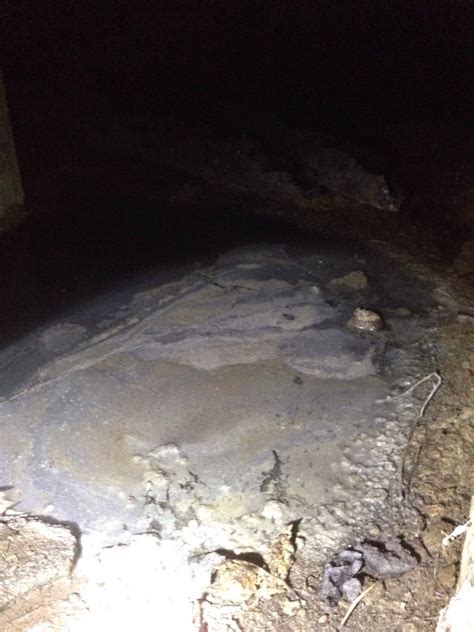 Transform Your Property with Expert Management and Care from Kim and Casey: Elevating Your Real Estate Game