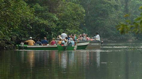Kinabatangan River Tour Guide