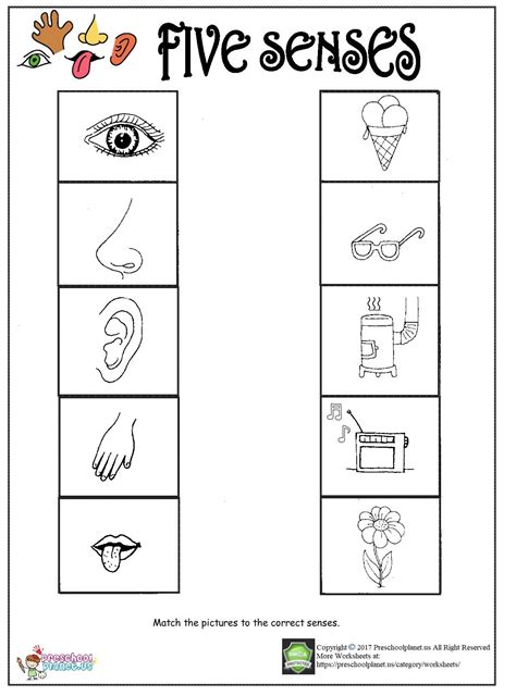 Kindergarten 5 Senses Worksheets