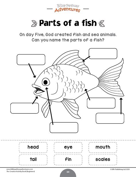 Kindergarten Label Parts Of A Fish Worksheet