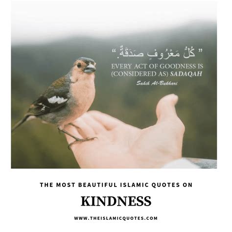 Kindness Quran Quotes
