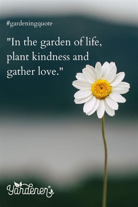 A diverse group of people coming together to form a heart shape, symbolizing unity