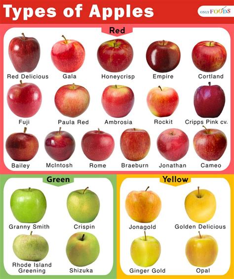 Kinds Of Apples Chart