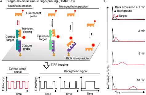 Kinetic fingerprints
