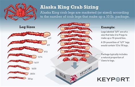 King Crab Sizing Guide