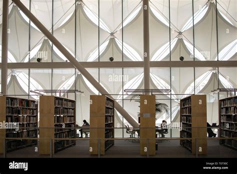 King Fahad Library visitors