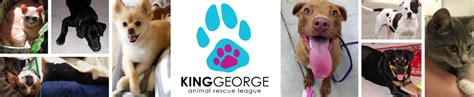 Keeping Your Neighborhood Safe: King George Animal Control Services