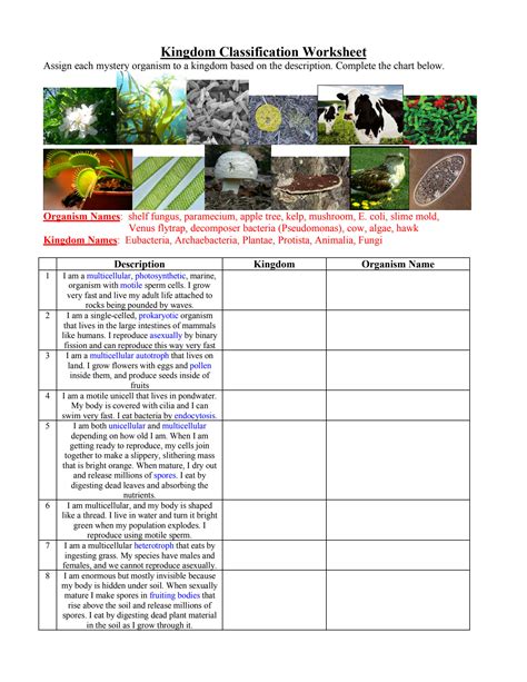 Kingdom Classification Worksheet _use techn_