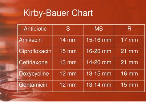 Kirby Bauer Test Chart