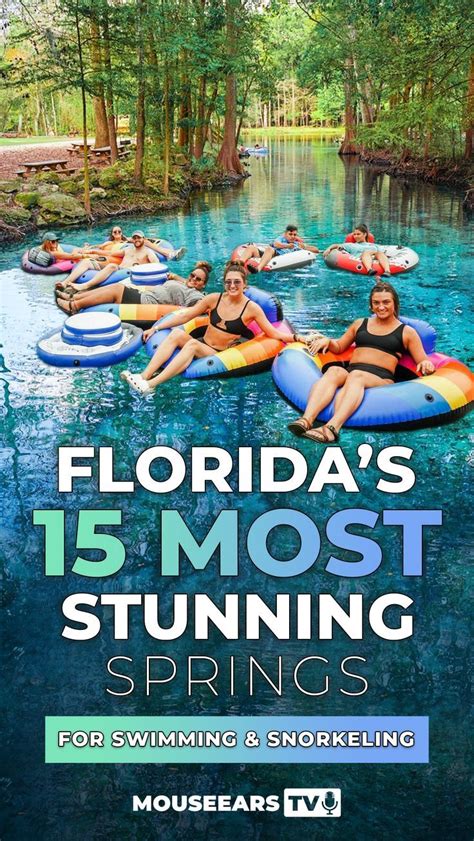 Kissimmee Springs