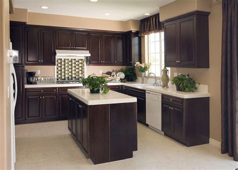 Magnificent Kitchen Designs With Dark