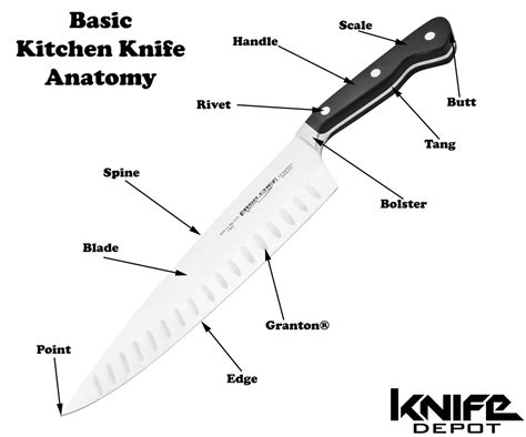 Kitchen Knife Anatomy
