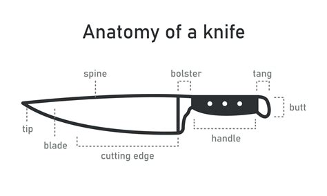 Kitchen Knife Diagram